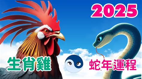 屬雞|2025 肖雞流年運程 